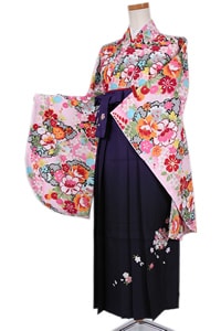 はなこセット