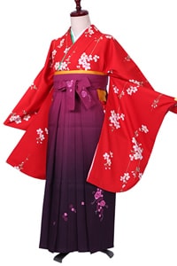赤桜小紋