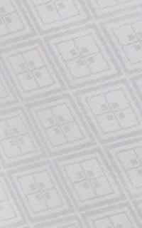 白JrDetails1