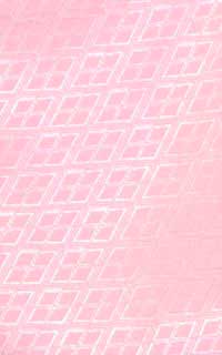 ピンクJrDetails3