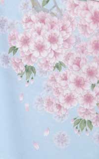 ブルー山桜Details1