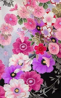 白きららDetails1