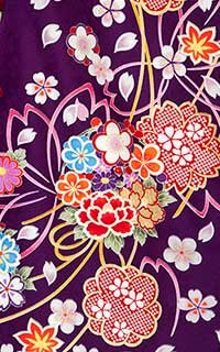 紫琴音Details1