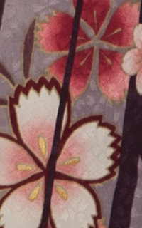 紫桜子Details3