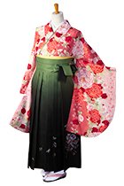 ピンクヴァネッサ