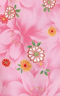 PメイDetails1