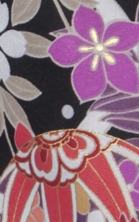 花菖蒲黒Details3