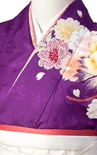 紫舞ぼたんDetails2