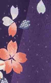 紫たてじまに桜Details3