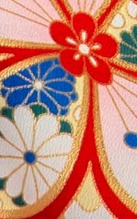 かじき紅ピンクDetails3