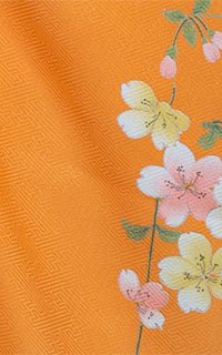 結月咲橙Details3