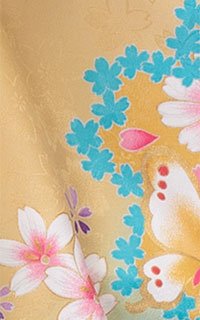 黄菜乃蝶Details3