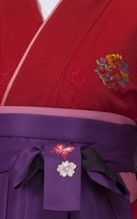 朱花紋Details2