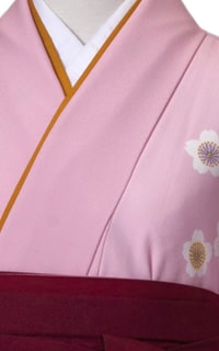 ピンクしだれ桜Details2