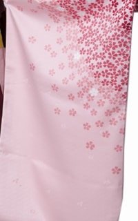 ピンク赤桜Details1