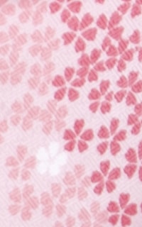 ピンク赤桜Details3