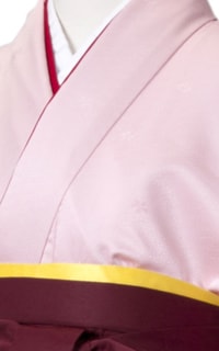 ピンク赤桜Details2