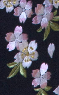 P藤色桜B