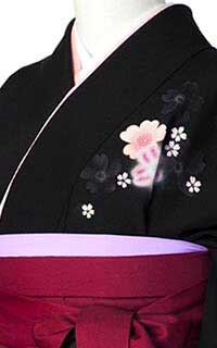 黒コスモス