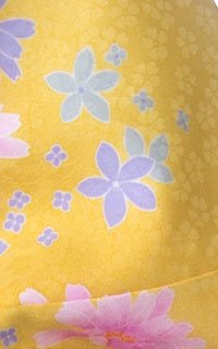 黄マーガレット